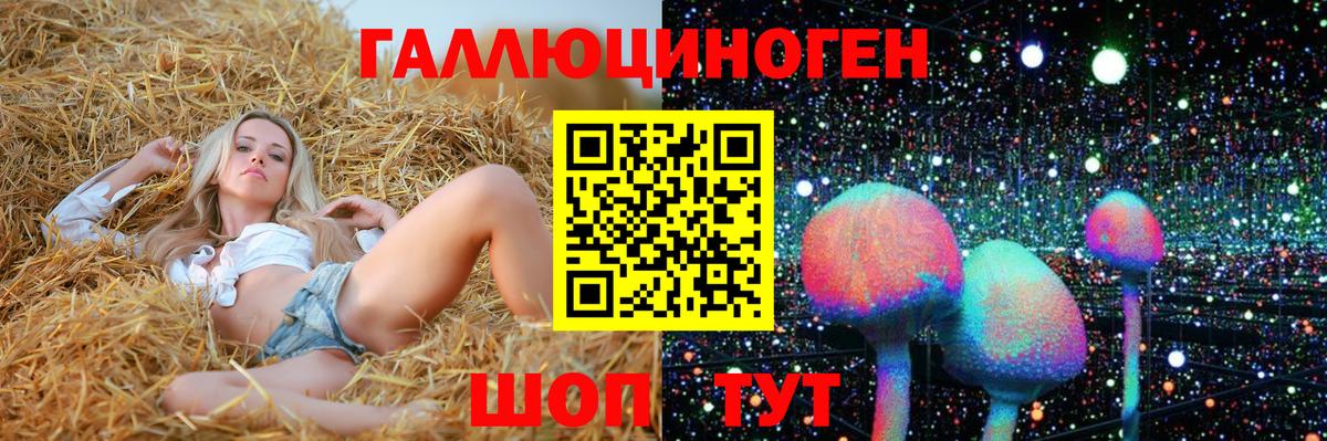 Галлюциногенные грибы прущие грибы  Вход с VPN  Железноводск 